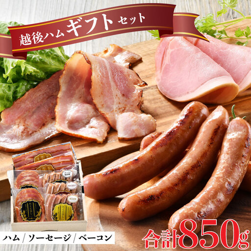 ハム 国産 越後もち豚 ハム ベーコン ソーセージ 5種 詰め合わせ ハム ギフトセット 越後ハム 贈答 お中元 お歳暮 ギフト 熨斗 包装 指定日 お祝い 人気 おすすめ ベーコン 新発田市 J54