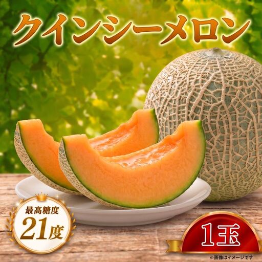 【先行予約】 メロン 2027 発送 最高糖度21度！奇跡の甘さ クインシー メロン 10000円 以下 1玉 めろん 赤肉 人気 おすすめ クインシー 甘い フルーツ 濃厚 くだもの 高糖度 自家栽培 めろん 贈答用 贈り物 プレゼント 片岡農園 クレストファーム 茨城県 鉾田市
