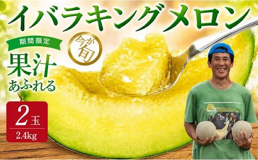 [2027年発送]イバラキングメロン(青肉) 2玉入 青肉品種 鉾田メロン! / イバラキング 果物 フルーツ ギフト 農家直送 kbn008_X2