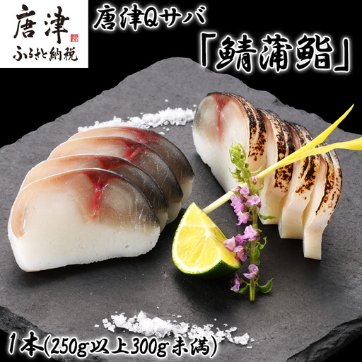 生の新食感 唐津Qサバ「鯖蒲鮨」1本(250g以上〜300g未満)