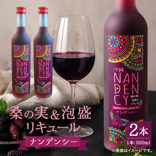 沖縄ナンデンシー（500ml×2本） 酒 リキュール CG07
