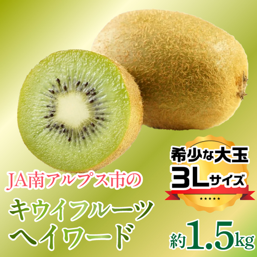 ＜2026年発送先行予約＞キウイフルーツ（ヘイワード）3Lサイズ 約1.5kg ALPAA052