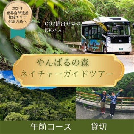 [1ヶ月前予約必須]やんばるの森ネイチャーガイドEVバスツアー 午前コース 貸切(最大16名乗車可能