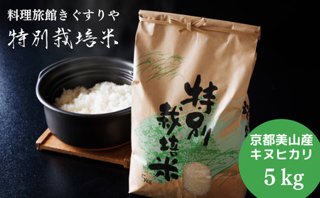 【令和8年度】 料理旅館きぐすりや 特別栽培米 キヌヒカリ 5kg 精米 白米 お米 こめ コメ 減農薬栽培 5 キロ ご飯 ごはん 京都　※9月下旬より順次発送 新米26