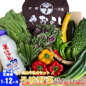 詰め合わせ 野菜 瓶 牛乳 定期便 6回 無農薬 詰め合わせ