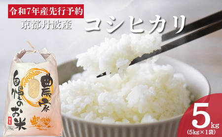 コシヒカリ 5kg 米 お米 京都丹波産 コシヒカリ