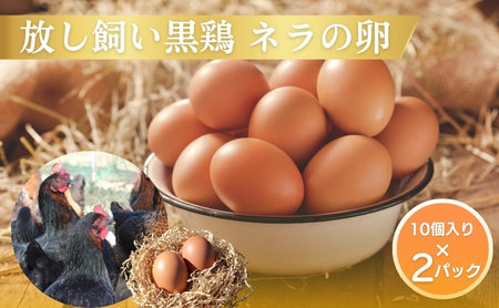 たまご 20個 放し飼い黒鶏 たまご