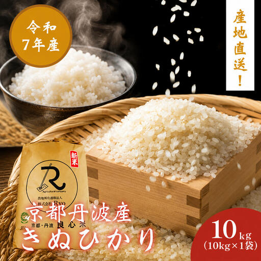 キヌヒカリ 10kg 米 お米 京都丹波産 キヌヒカリ
