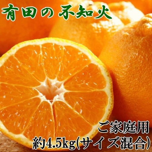 【先行予約】【濃厚】有田の不知火約4.5kgご家庭用向け（サイズ混合）※2027年2月下旬～2027年3月下旬頃発送予定 / みかん 有田みかん 柑橘 不知火 和歌山 ミカン オレンジ【tec989】 