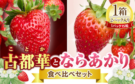 [2027年1月上旬〜3月下旬発送]古都華とならあかりの食べ比べセット 1パック×2(1パック15粒) 化粧箱 国産 国産苺 ストロベリー 果物 果実的野菜 フルーツ デザート おやつ 糖度 濃厚 香り 鮮やか 甘い ビタミン 奈良県産 お取り寄せ 贈答用 送料無料