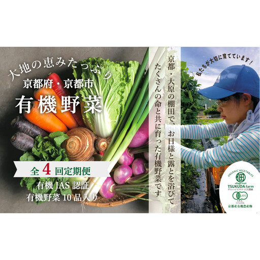 ◆全4回定期便◆[つくだ農園][有機JAS認証 有機野菜10品入り]京都の棚田大原で心を込めて大切に露地栽培された大地の恵みたっぷりの有機野菜!