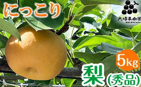 【先行予約】梨 にっこり (秀品) 5kg ※2026年10月～発送