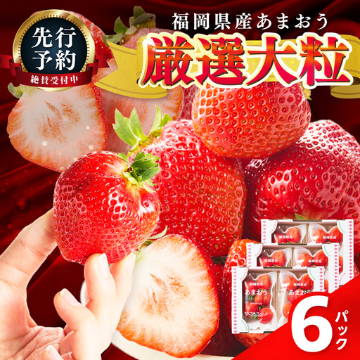 【2027年先行予約】あまおうボリュームセット(6パック)【044-0076】