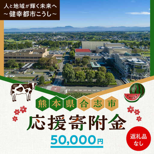 [応援寄附金]熊本県合志市 1口 5万円 返礼品なしのご寄附 [合志市役所][AYBZ002]