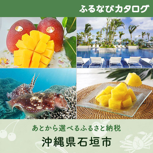 【有効期限なし！後からゆっくり特産品を選べる】沖縄県石垣市カタログポイント
