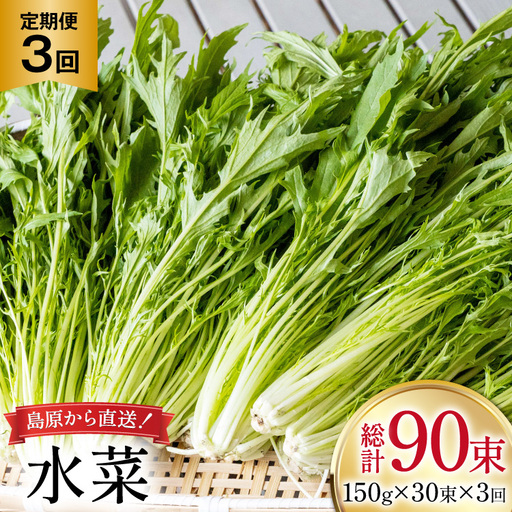 AI338 定期便 3回 水菜 30束