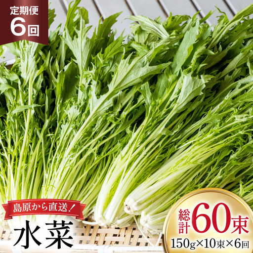 AI336 定期便 6回 水菜 10束