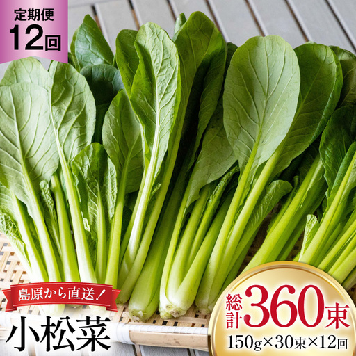 AI334 定期便 12回 小松菜 30束