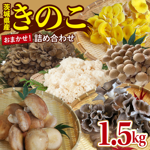 きのこ の 詰め合わせ 約1.5kg Mサイズ (AU001)