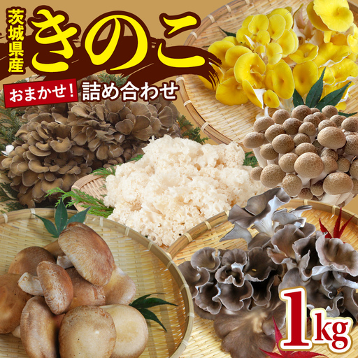 きのこの詰め合わせ 約1kg Sサイズ 大容量 キノコ 舞茸 あわび茸 たもぎ茸 しいたけ ぶなしめじ セット 鍋 炒め物 茨城県 城里町産