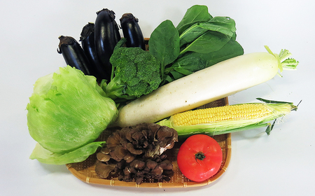 平留商店こだわりの 野菜セット(小)野菜6〜7品 岩手県産 旬の野菜 季節の野菜 葉物 根菜 きのこ 春野菜 夏野菜 秋野菜 冬野菜 新鮮 物価高騰 家庭 応援 北上市 平留商店 フレッシュフィールド青果ひらの