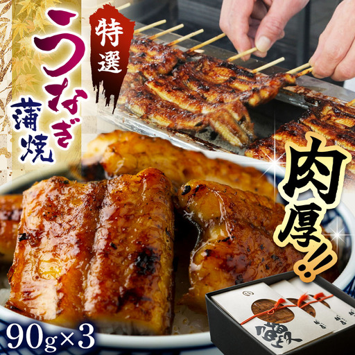 特選 蒲焼うなぎ(短冊)肉厚うなぎを炭火焼!| ふるさと納税 特選 蒲焼うなぎ 短冊 肉厚うなぎ炭 高級蒲焼 国産うなぎ 肉厚 炭火焼うなぎ 贅沢 肉厚うなぎ蒲焼特選 炭火焼うなぎ ギフト 栃木県 那珂川町 送料無料