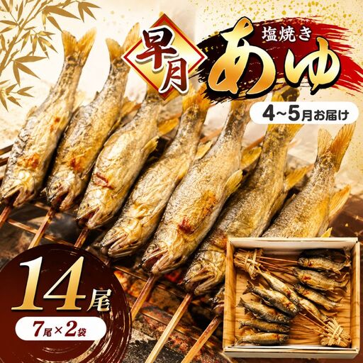 【2027年先行予約】【4月～5月旬の鮎】 早月あゆ（塩焼き）成魚になる前のやわらかい鮎 | 早月 あゆ 塩焼き旬 やわらかい 早月あゆの塩焼き 成魚前 早月あゆ 4月 早月鮎 お取り寄せ 旬の鮎 塩焼 新鮮 ギフト ふるさと納税 栃木県 那珂川町 送料無料 