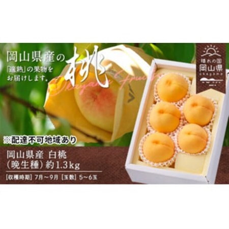 [2027年発送]岡山県産 白桃(晩生種) 約1.3kg(5〜6玉)[配送不可地域:離島]