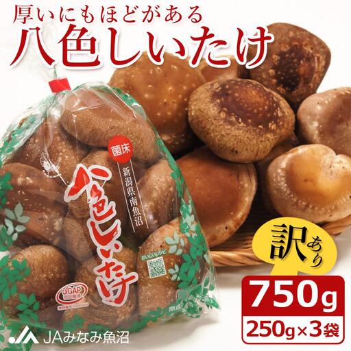 【家庭用】厚いにもほどがある「八色しいたけ」750g（250g×3袋） ｜しいたけ