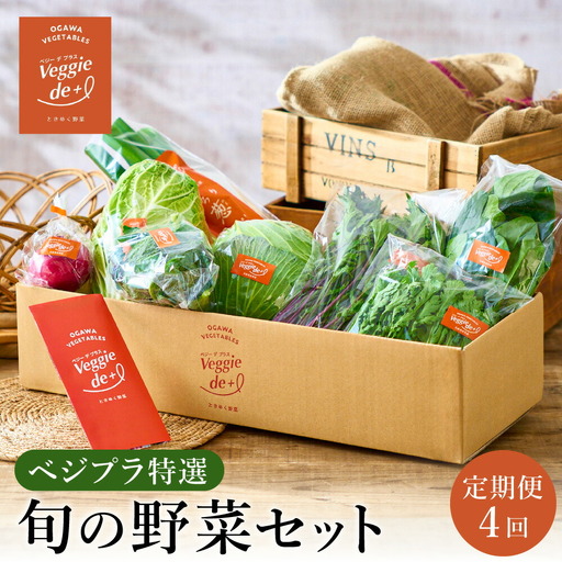 旬の新鮮なお野菜を産地直送！ベジプラ特選 旬の野菜セット【定期便：4回　春(5月)・夏(7月)・秋(11月)・冬(1月) 】 / 野菜 詰め合わせ セット 野菜セット 新鮮 ギフト やさい 苦みが少ない 甘みが強い Veggie de＋【野菜例：キャベツ 水菜 ミニトマト レタス とろり葱 ほうれん草等】