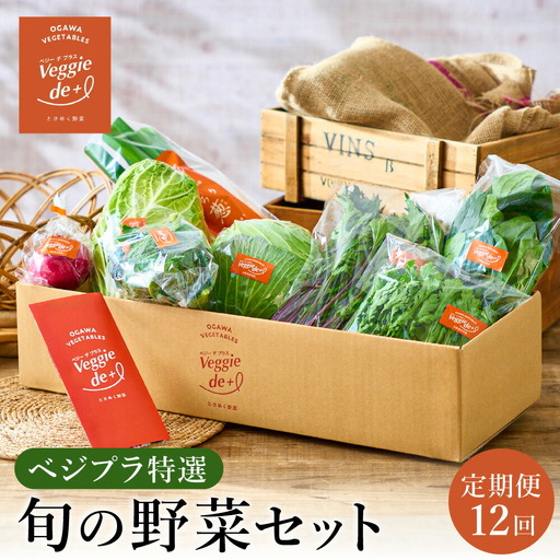 旬の新鮮なお野菜を産地直送！ベジプラ特選 旬の野菜セット【定期便：12回　毎月お届け】 / 野菜 詰め合わせ セット 野菜セット 新鮮 ギフト やさい 苦みが少ない 甘みが強い Veggie de＋【野菜例：キャベツ 水菜 ミニトマト レタス とろり葱 ほうれん草等】