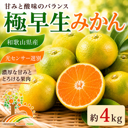 【先行予約】こだわりの極早生みかん 約4kg 農家直送 有機質肥料100% サイズ混合 ｜ みかん 極早生 早生 柑橘 果物 くだもの 果実 フルーツ 和歌山 有田