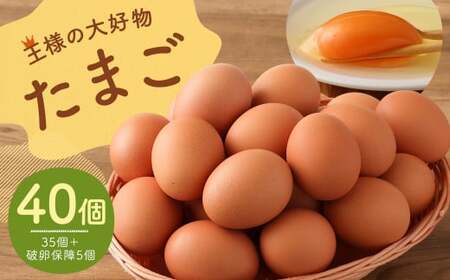 王様の大好物 たまご 40個 ( 35個+破卵保障5個 ) 福岡県産 国産 にわとり 卵かけご飯 ゆでたまご