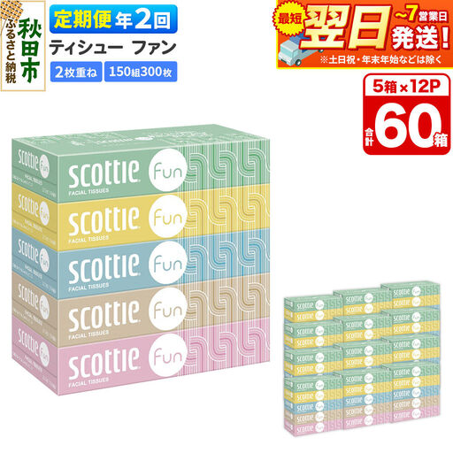 《6ヶ月ごとに2回お届け》定期便 ティッシュペーパー スコッティ ティシュー ファン 150組 5箱×12パック 最短翌日発送