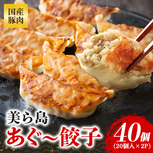 美ら島あぐー餃子 40個セット 20個入×2パック 絶品 こだわり 豚 肉 国産 ごはん おかず お弁当 冷凍 ぎょうざ ギョウザ 小分け BBQ ギョーザ 惣菜 晩酌 ギフト 手作り 生餃子 豚肉 冷凍食品 おつまみ 冷凍餃子 ブランド豚 総菜 中華 焼き餃子 沖縄県 糸満市 61-24