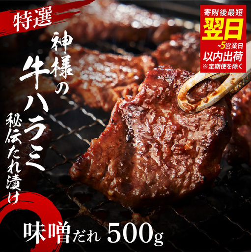 特選神様の牛ハラミ 秘伝たれ漬け 500g(味噌だれ1p)