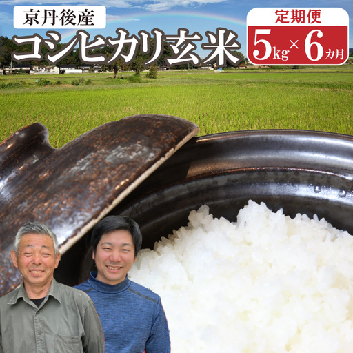 2026年産 丹後弥栄産コシヒカリ（玄米5kg）月1回×6ヵ月 ふるさと納税 お米 米 玄米 コシヒカリ 農家直送 丹後こしひかり ふるさと納税 玄米 定期便