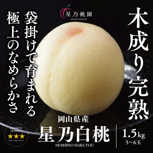 先行受付【星乃白桃】岡山県の桃園からお届けする三つ星の桃 1.5kg(5～6玉)【配送不可地域：離島・北海道・沖縄県】【1614279】