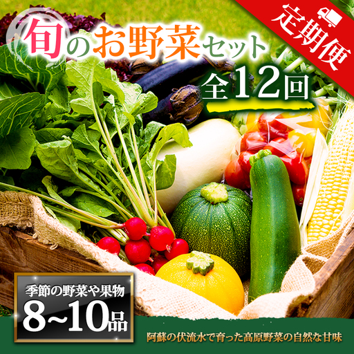【定期便 全12回】畑から直送  季節のお野菜セット Lサイズ 