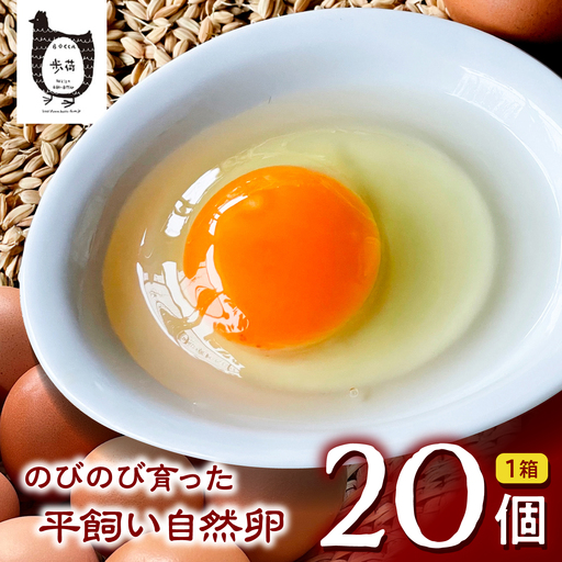 平飼い卵 歩荷 箱20個入