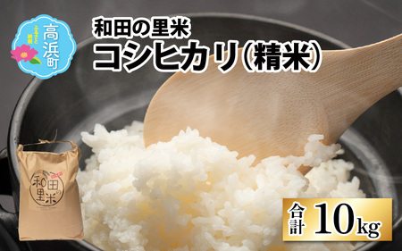 【先行予約】【令和7年産　新米】和田の里米 コシヒカリ 白米 10kg【2025年10月より順次発送】