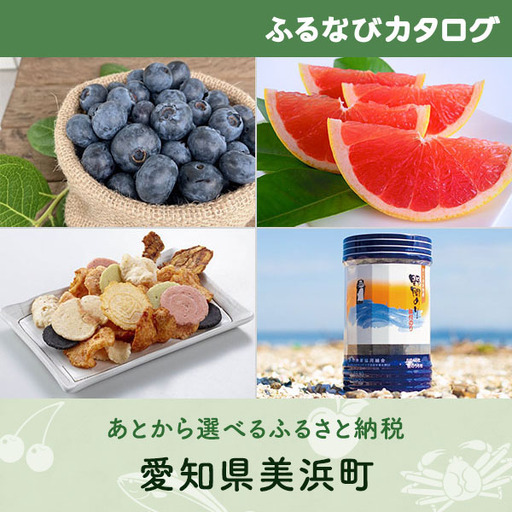 【有効期限なし！後からゆっくり特産品を選べる】愛知県美浜町カタログポイント