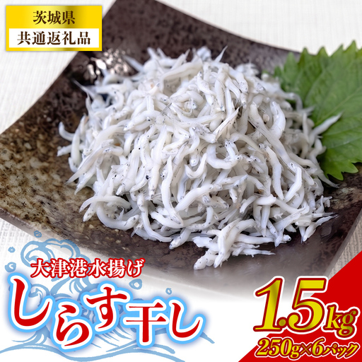 大津港水揚げしらす干し 1.5kg(250g×2パック×3箱) (茨城県共通返礼品:北茨城市) (BC007)