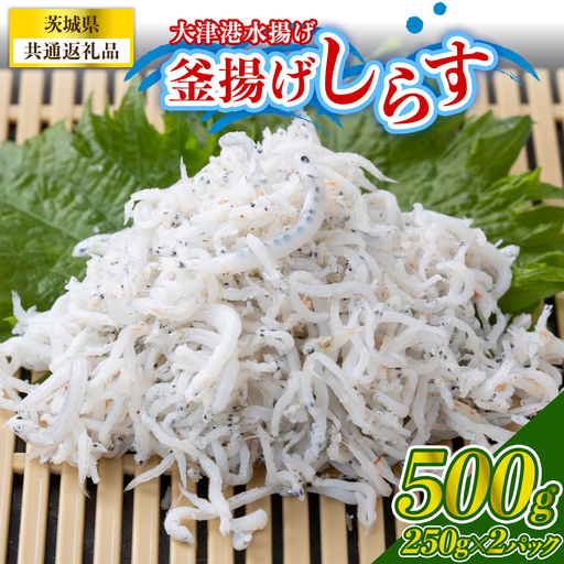 大津港水揚げの釜揚げしらす 500g(250g×2パック) (茨城県共通返礼品:北茨城市)