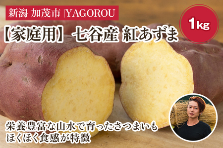 【家庭用】紅あずま 1kg（A品・B品混在） 七谷産 さつまいも《順次発送》