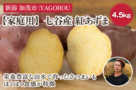【家庭用】紅あずま 4.5kg（A品・B品混在） 七谷産 さつまいも《順次発送》