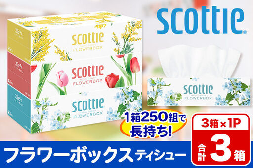 ティッシュペーパー スコッティ ティシュー フラワーボックス 250組 3箱パック×1パック 秋田市オリジナル