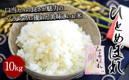 【令和7年産】大分県産 ひとめぼれ 10kg【2025年10月下旬発送開始予定】