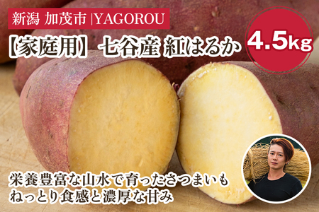 【家庭用】紅はるか 4.5kg（A品・B品混在） 七谷産 さつまいも《順次発送》