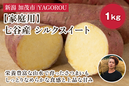 【家庭用】シルクスイート 1kg（A品・B品混在） 七谷産 さつまいも《順次発送》